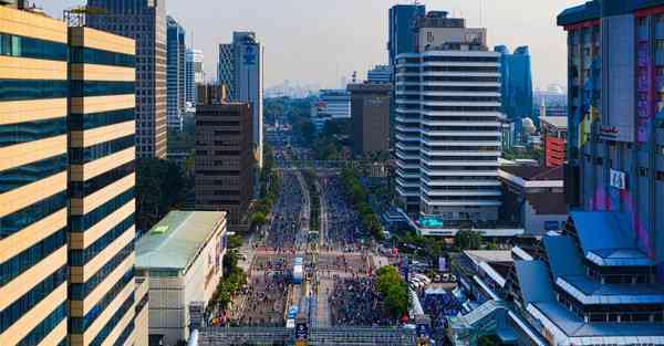 2019年生肖属猪的宝宝起名网